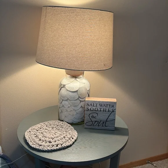 12 Real sand dollars - Picture 8 of 8